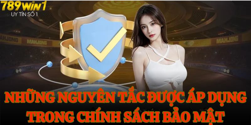 Những nguyên tắc được áp dụng trong chính sách bảo mật