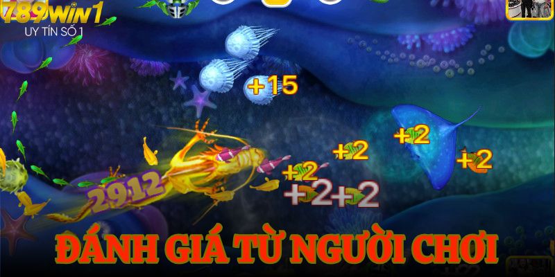 Những đánh giá từ người chơi