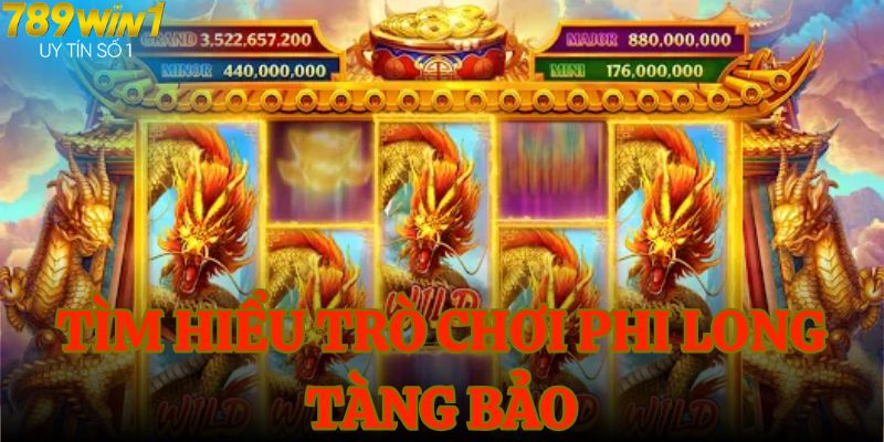 Tìm hiểu trò chơi phi long tàng bảo